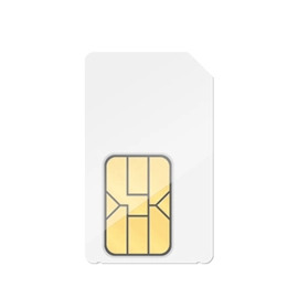 Fixed IP SIM Cards