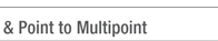 Point to Multi Point Wireless