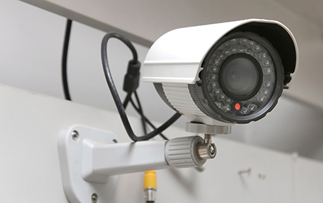 IP Cameras 