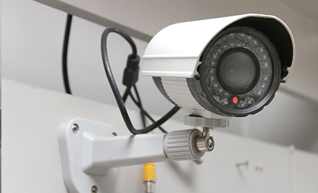 IP Cameras