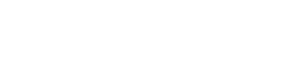 Robustel Routers and RCMS