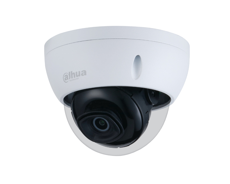 Dahua Technology 4MP WDR IR Mini Dome Network Camera (IPC-HDBW2431EP-S-S2)