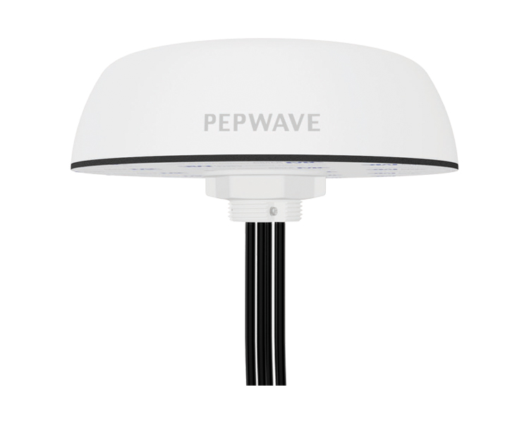 Peplink Puma 421 Cellular & Wi-Fi Antenna System - White SMA 2M