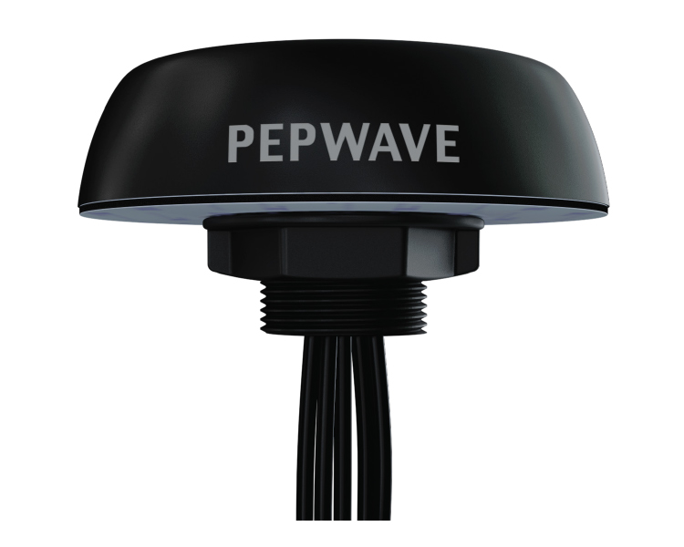 Peplink Puma 401 Cellular Antenna