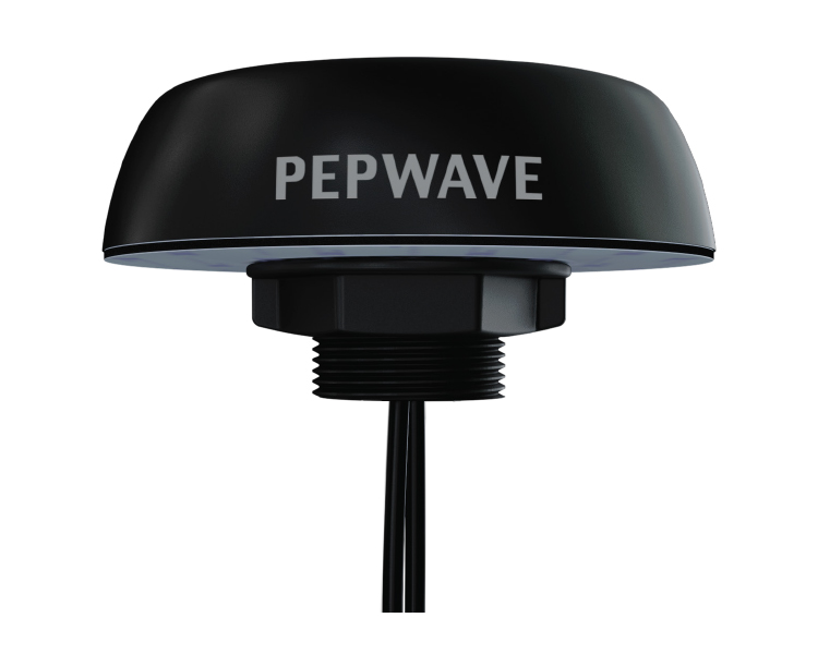 Peplink Puma 020 Cellular Antenna