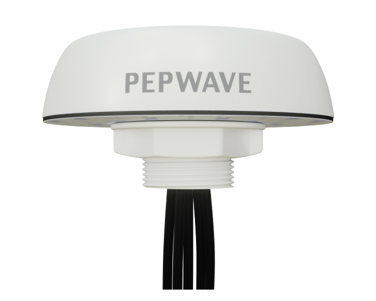 Peplink Puma 221 Cellular Antenna