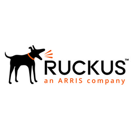 Ruckus Switches