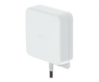 4G Lte Wall Mount High Gain Directional Mimo Antenna