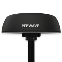 Peplink Mobility 42G Antenna Black (ANT-MB-42G-S-B-6)