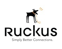 Ruckus PoE Injector (902-0162-UK00)