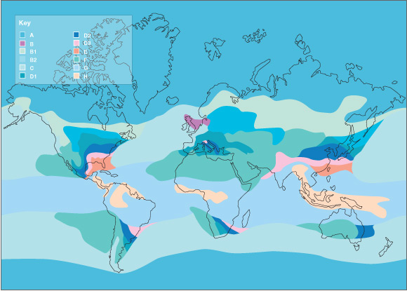 Global Crane Model Map
