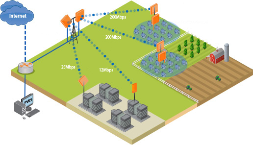 Point-to-Multipoint Application